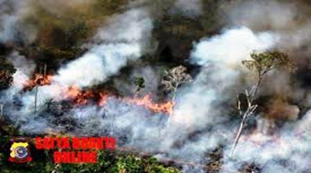 Hadapi Pemanasan Suhu, UPT KPH Wil III Kisaran Sosialisai Pencegahan Kebakaran Hutan Konversi Secara Dini