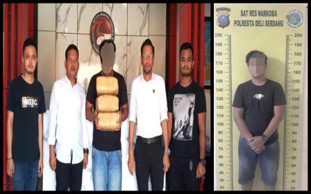 Bawa 6 Kg Ganja Ke Pekanbaru, Suhendra Alias H Diciduk Sat Narkoba Polresta Deli Serdang