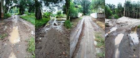 Pembangunan Jalan di Dusun 2, Desa Naga Rejo Mangkrak, Warga Semakin Merana. Siapa Yang Bertanggung jawab?