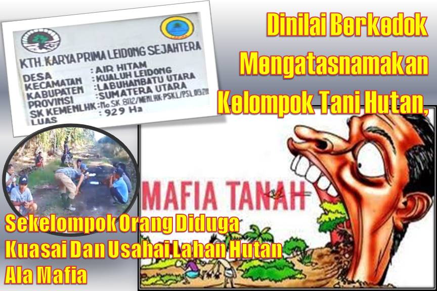 Dinilai Berkedok Mengatasnakan Kelompok Tani Hutan, Sekelompok Orang Diduga Kuasai Dan Usahai Lahan Hutan Ala Mafia,