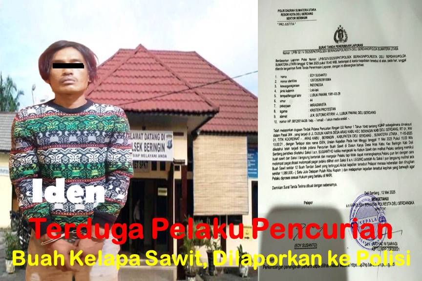 Iden, Terduga Pencurian Buah Kelapa Sawit dilaporkan ke Polisi