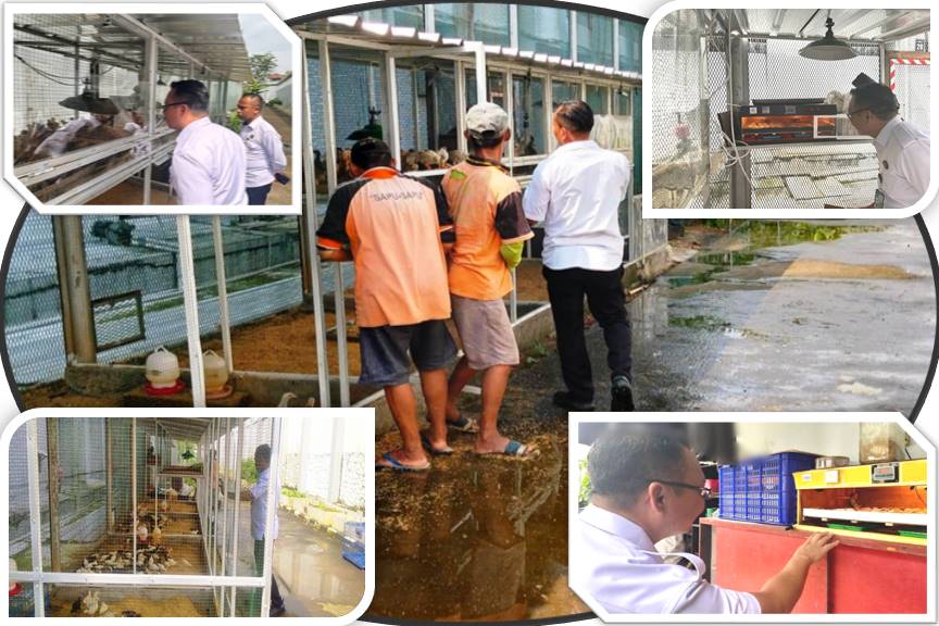 Lapas Kelas IIA Salemba Berikan Pembinaan Kepada Warga Binaan Kembangkan Budidaya Ayam Kampung dengan Mesin Penetas
