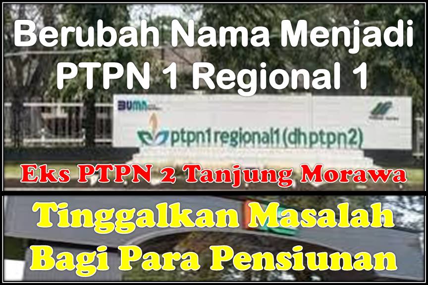 Berubah Nama Menjadi PTPN 1 Regional 1, Eks PTPN 2 Tanjung Morawa Tinggalkan Masalah Bagi Para Pensiunan